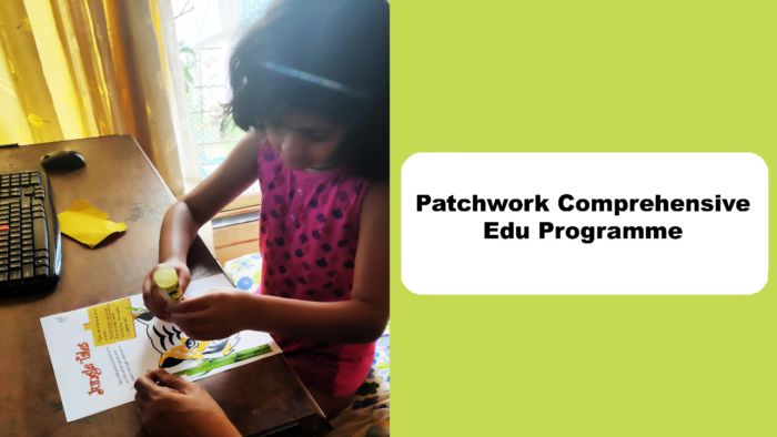 Patchwork Comprehensive Edu Programme