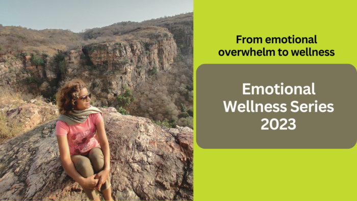 Emotional Wellness Series 2023